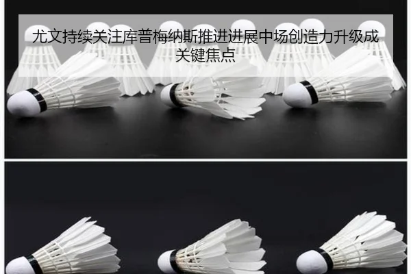 尤文持续关注库普梅纳斯推进进展中场创造力升级成关键焦点